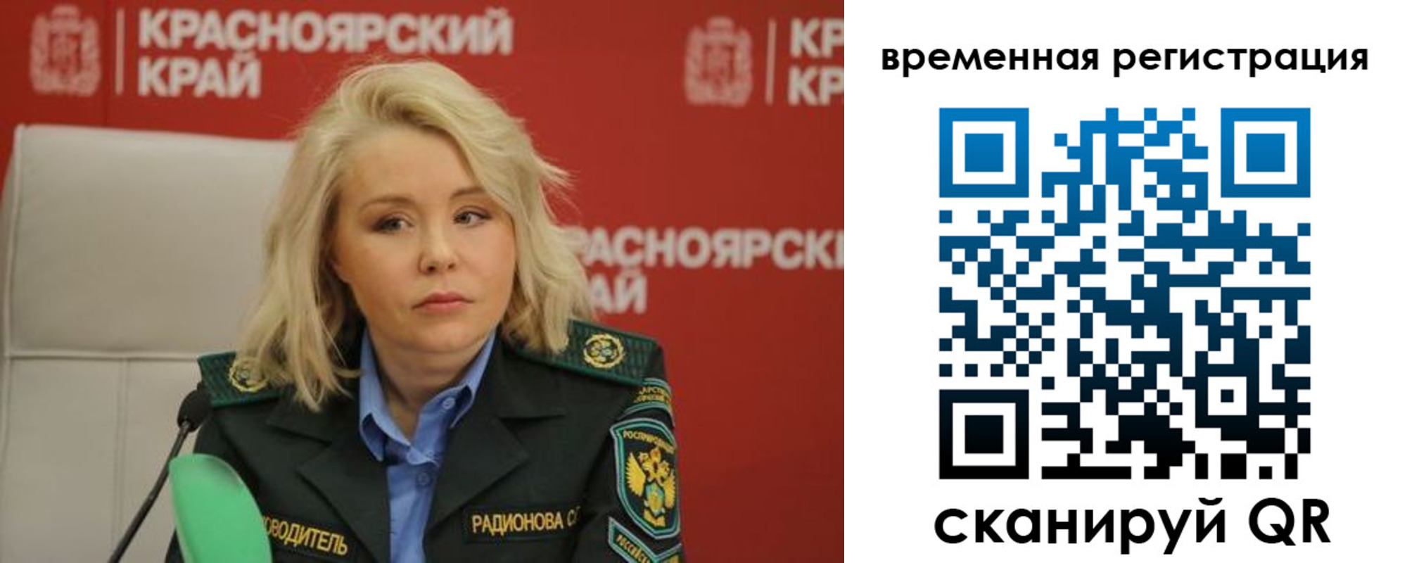 прописка поиск в Бородино